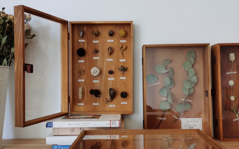花艺 手工干花果实标本木盒
