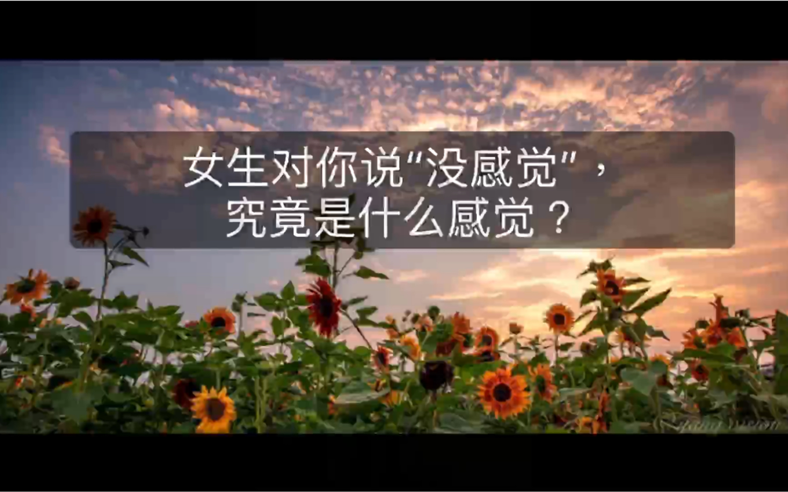 女生对你说没感觉究竟是什么感觉呢