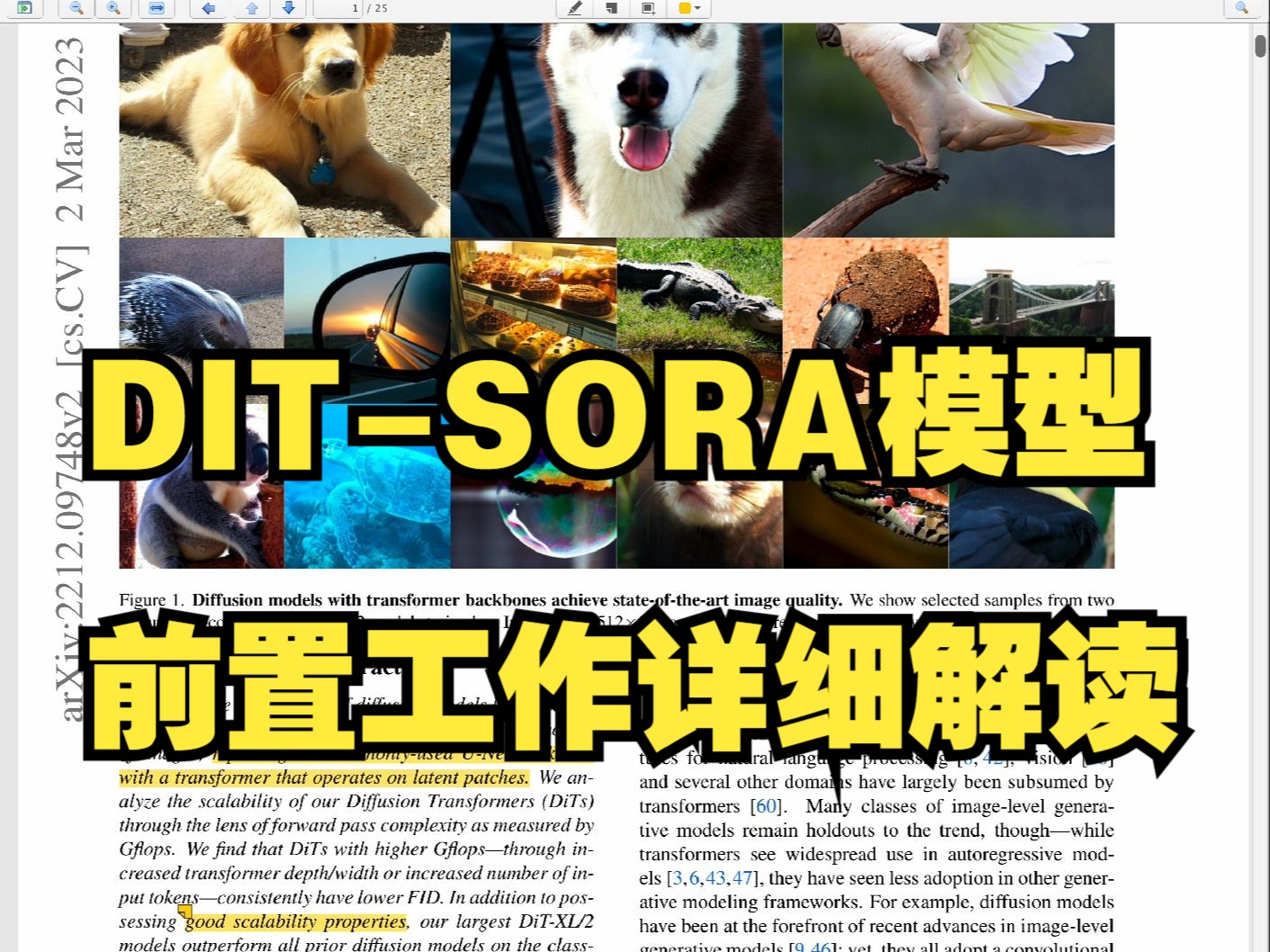 论文精读:DIT(SORA前置工作)哔哩哔哩bilibili