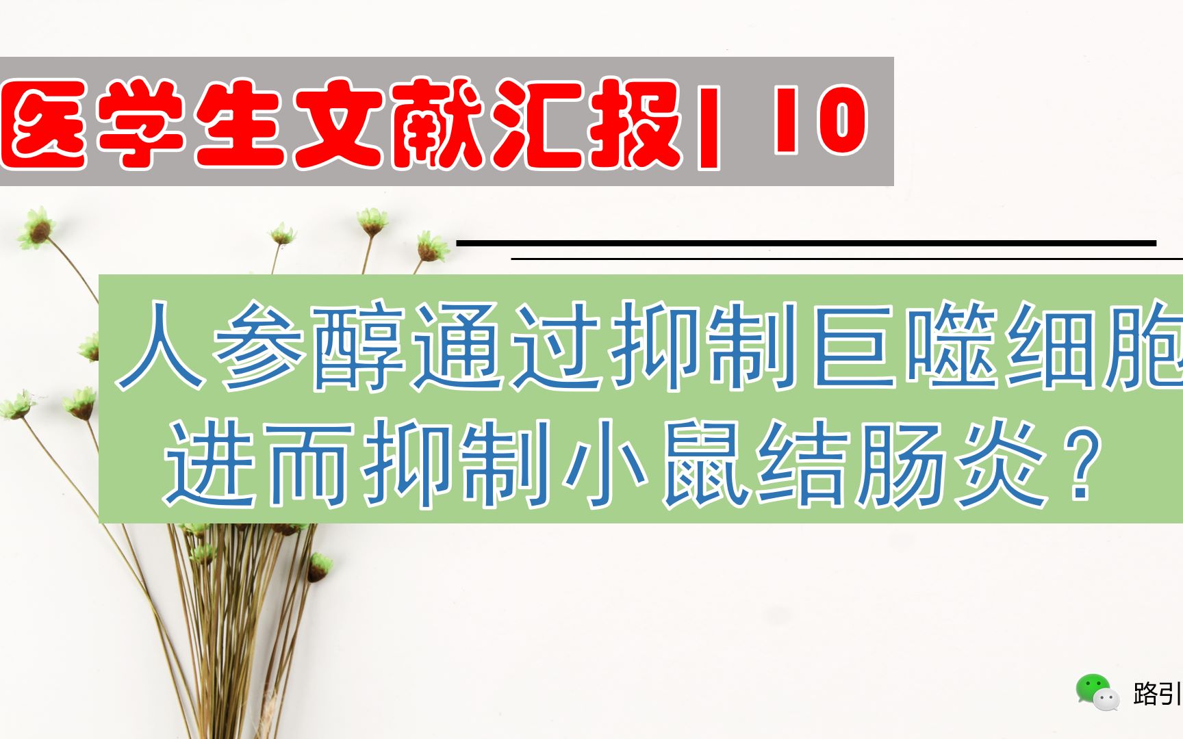 【医学生文献PPT| 第10期】中医药治疗结肠炎研究思路|人参醇通过抑制巨噬细胞进而抑制小鼠结肠炎| PPT可得哔哩哔哩bilibili