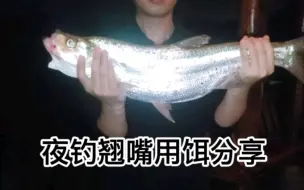 Скачать видео: 夜钓翘嘴用饵，这两种就够了！拒绝花里胡哨