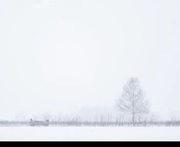 [图]又见雪花飞满天 电吹管演奏