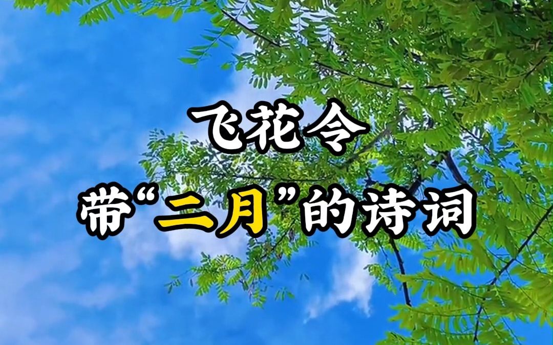 飞花令挑战:带“二月”的诗词,评论区留言!!!哔哩哔哩bilibili