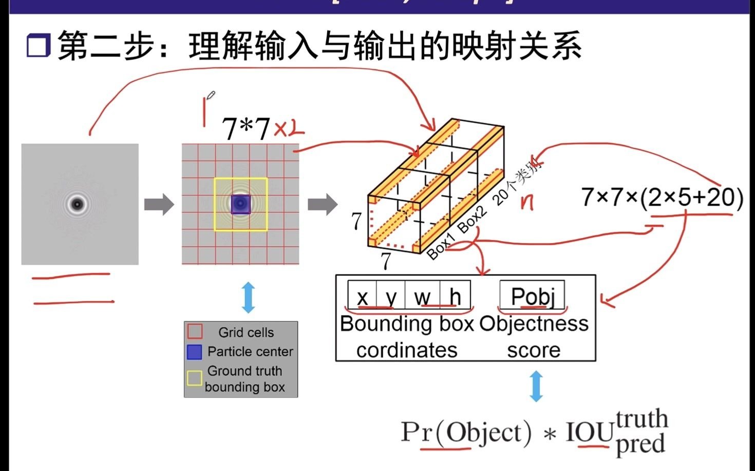 [图]yolo系列算法之yolov1精讲