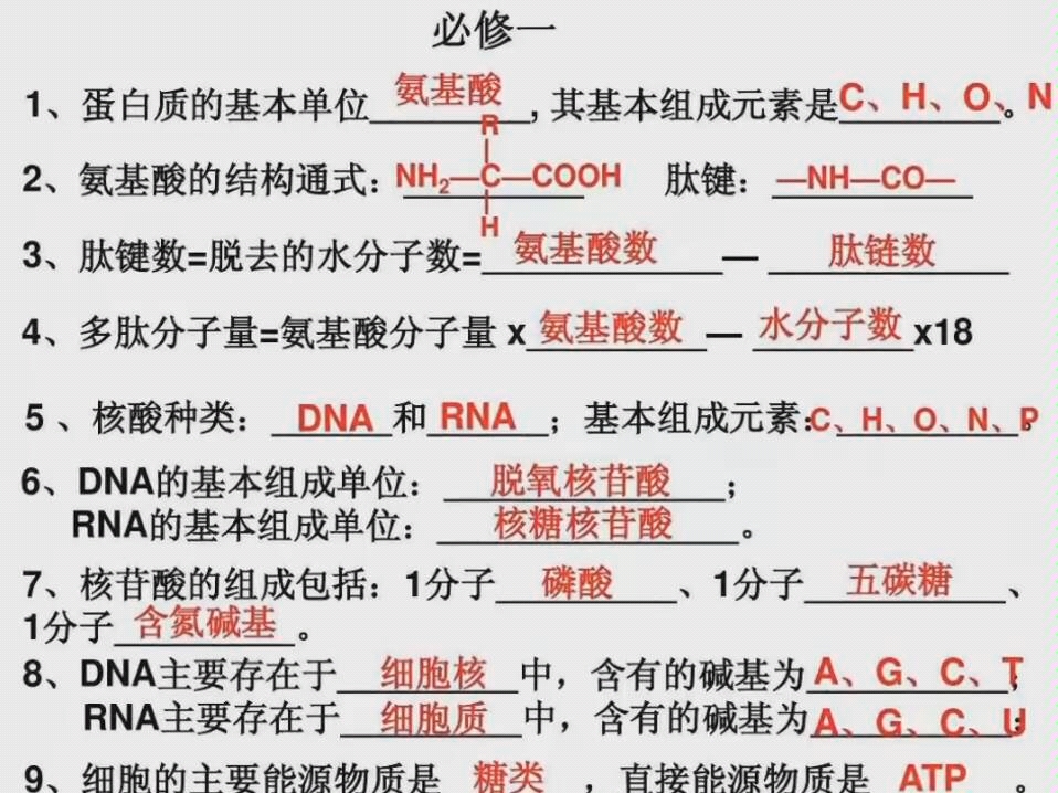 [图]三分钟狂k重点高中生物必修一知识重难点总结