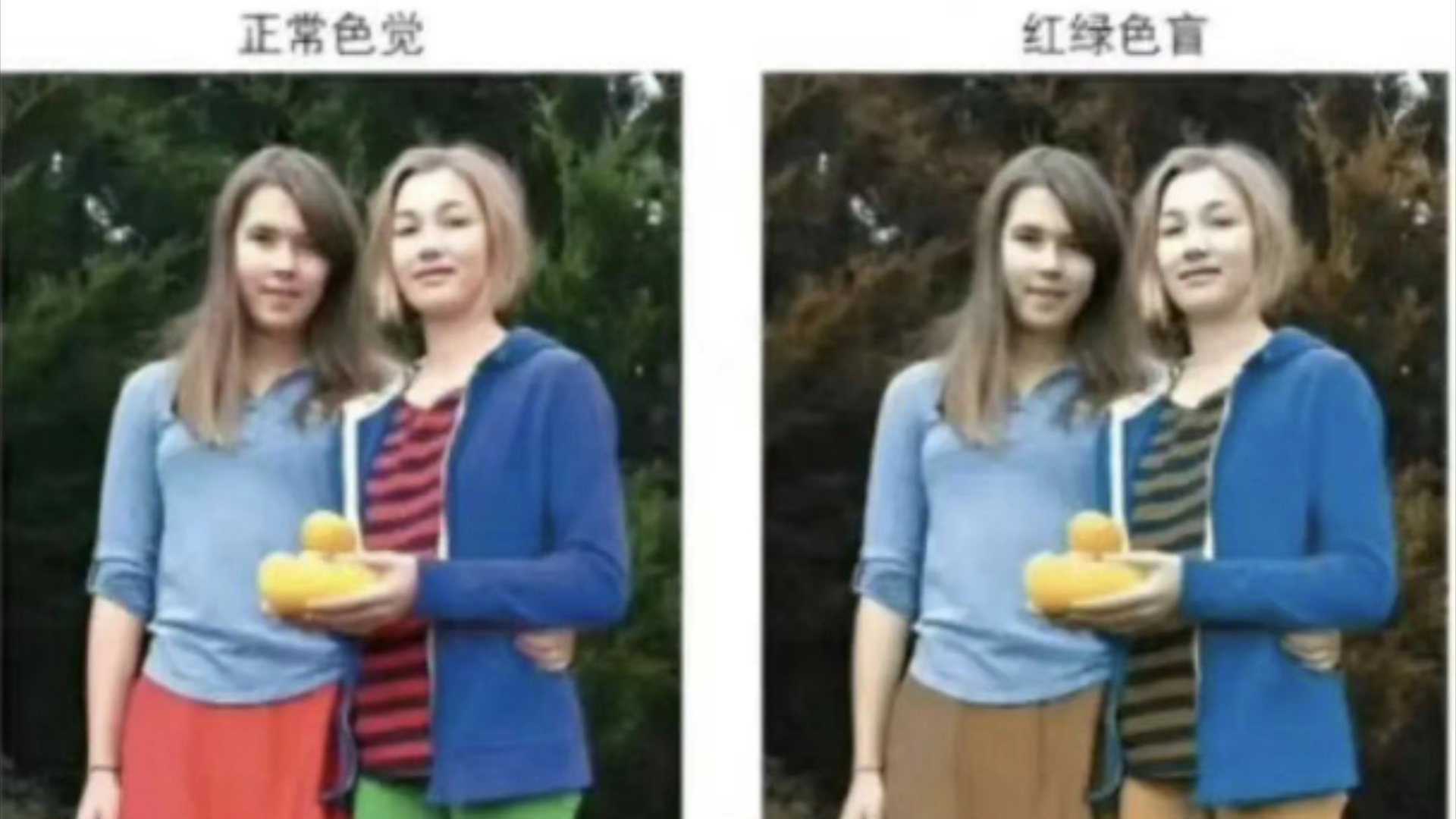 沙雕图片:怎么知道女人动了真情?哔哩哔哩bilibili