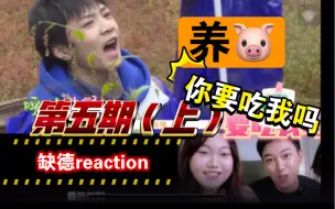 Download Video: 【缺德reaction】和可怜宝宝一起赶集啦！我姓猕叫猴桃？｜养猪第5期（上）