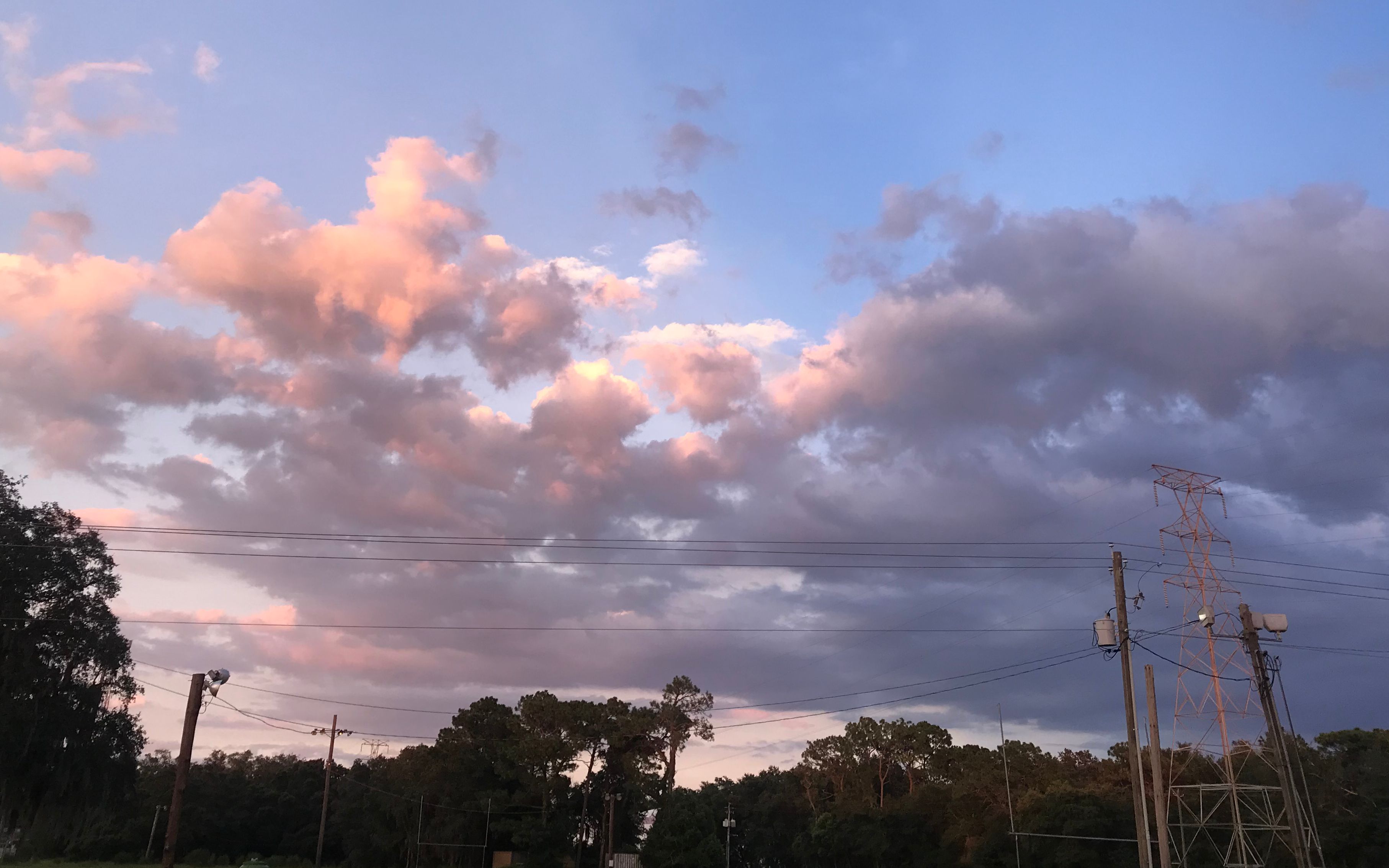 【vlog】kirin的美国上学日常 reset_哔哩哔哩 (゜-゜)つロ 干杯