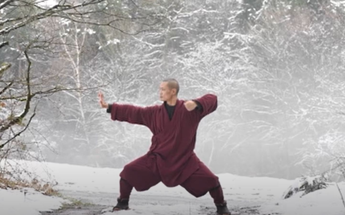 八段锦 ·8 brocade 修身养性调理平衡必修 释恒义大师演示