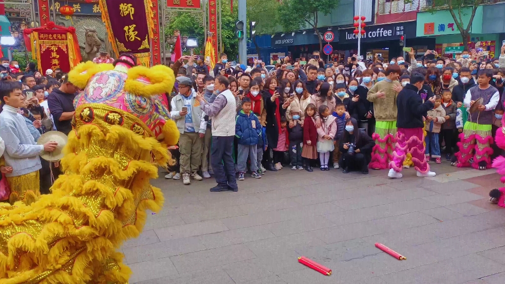 汕头市潮阳区岭东醒狮队哔哩哔哩bilibili