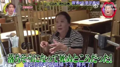 浪六全集（28編） 村上信 昭和4年