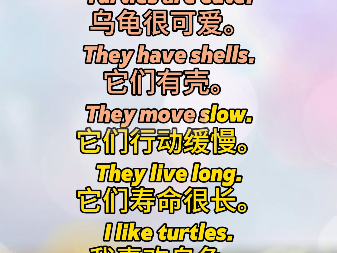 乌龟的英语