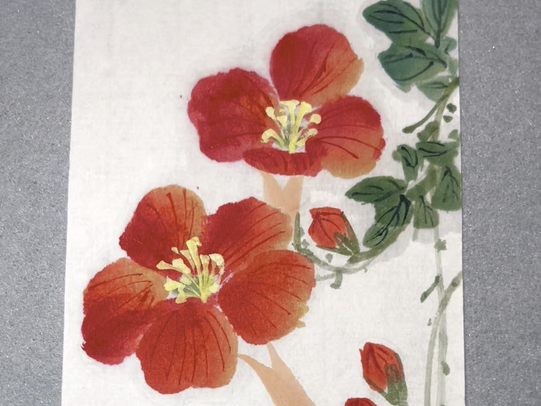 写意凌霄花～像夏天一样热情似火的颜色