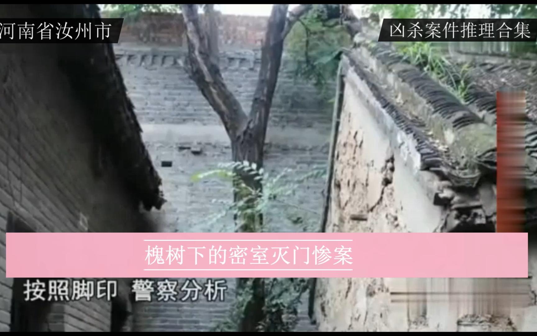 河南省平顶山汝州市 《槐树下的密室灭门惨案》-凶杀案件推理合集-凶杀案件推理合集-哔哩哔哩视频