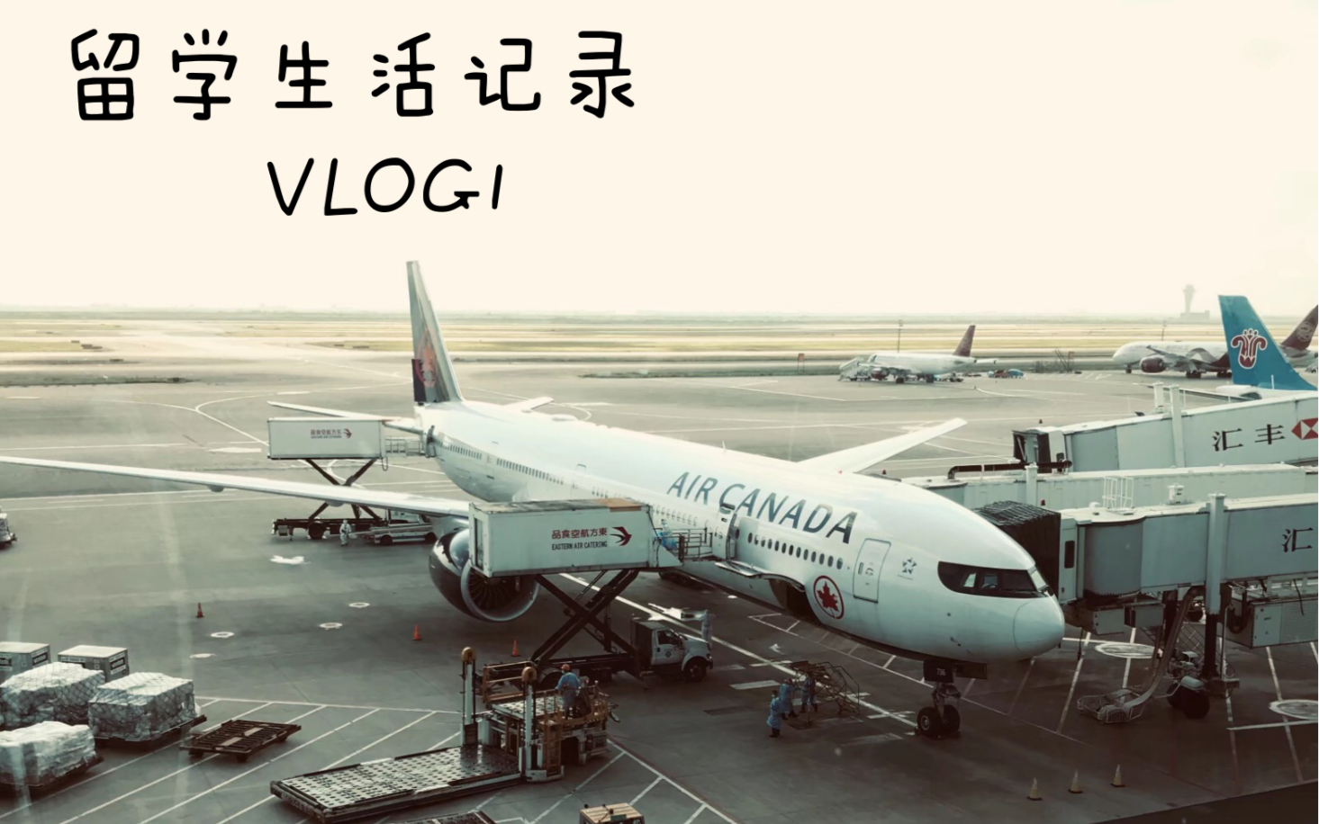 多伦多高中留学生活记录VLOG 1哔哩哔哩bilibili