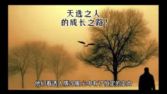 Download Video: 凤凰涅槃：天选之人的成长之路！