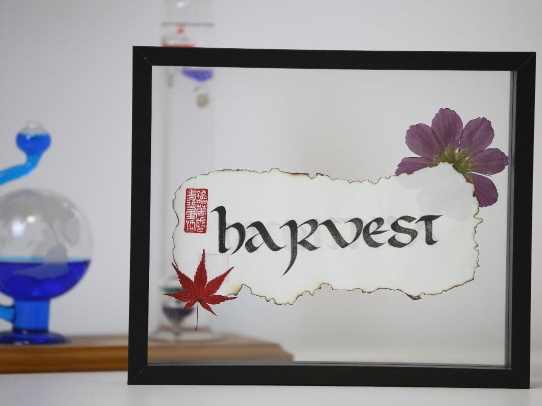 英文安瑟尔体 | 原创双面相框 autumn(秋),harvest(收获)