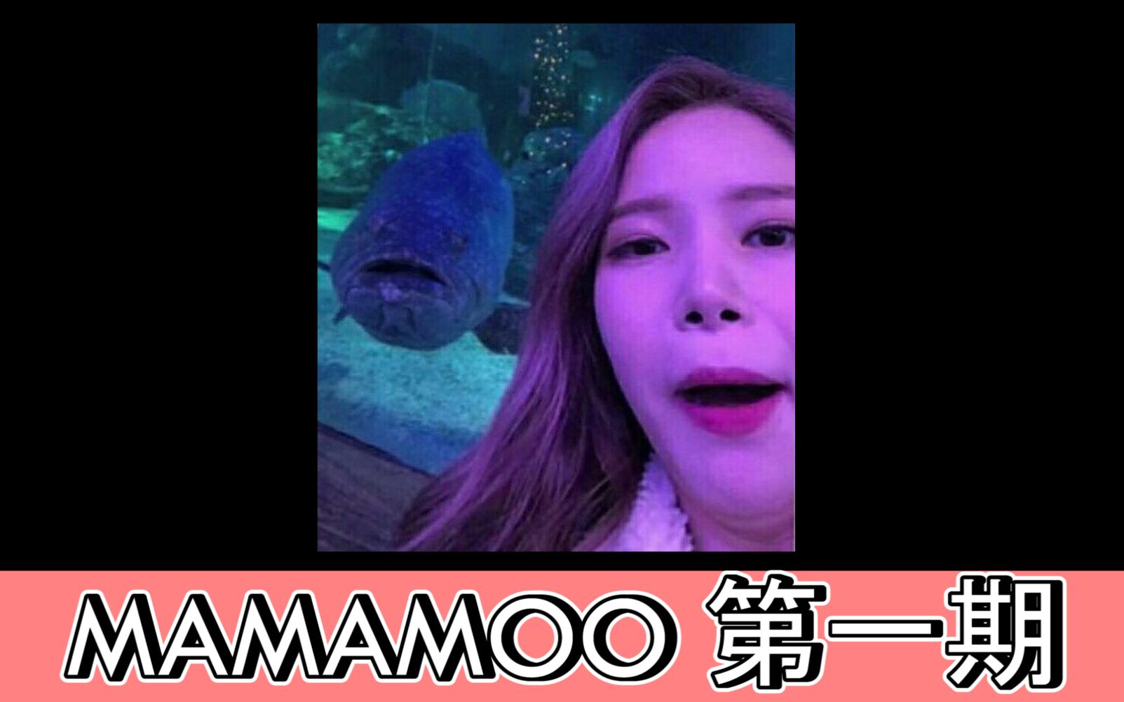 [MAMAMOO] 别人眼中的竹马 VS 现实中的竹马哔哩哔哩bilibili