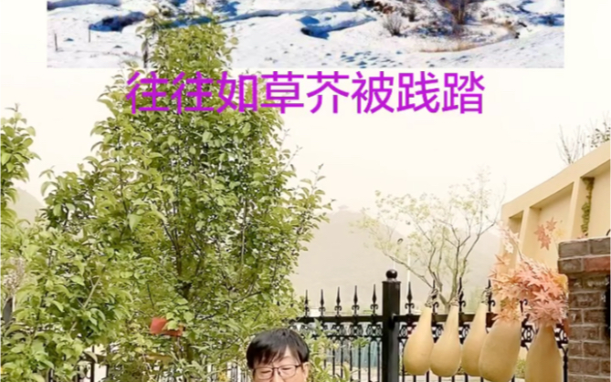 生命如草芥(明清的诗)哔哩哔哩bilibili