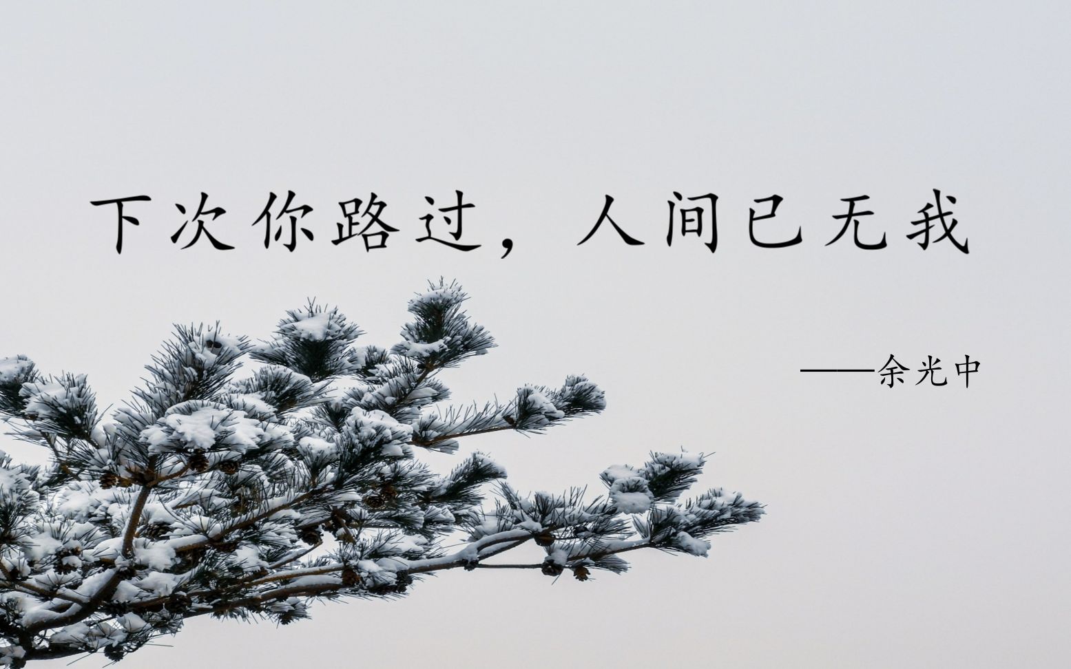 活动作品诗歌余光中下次你路过人间已无我