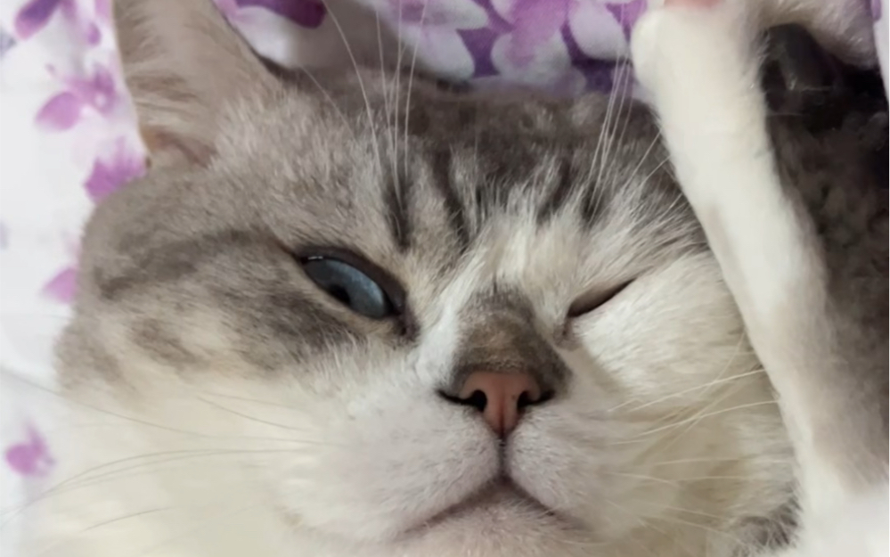 独眼龙大学生来啦