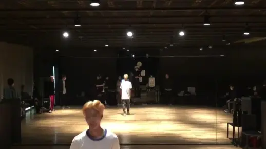 【WINNER】李昇勋<RingaLinga+Serenade>练习室