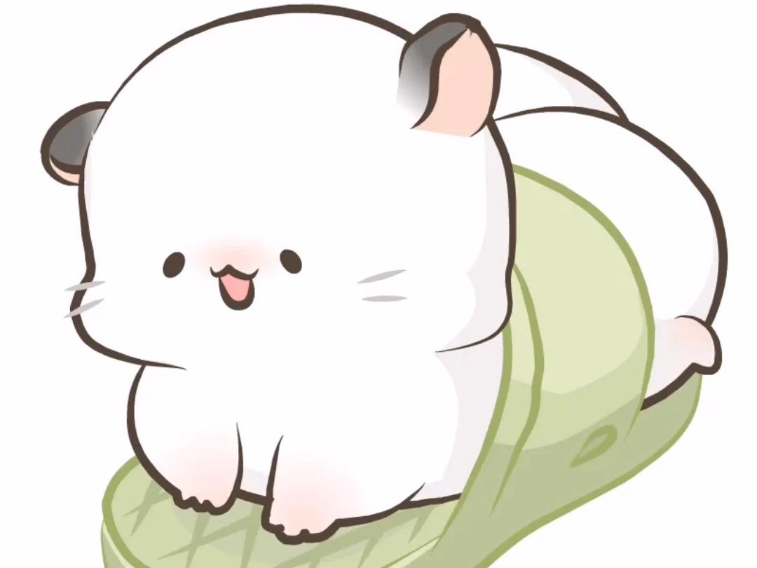 四毛的超萌日常可爱爆棚