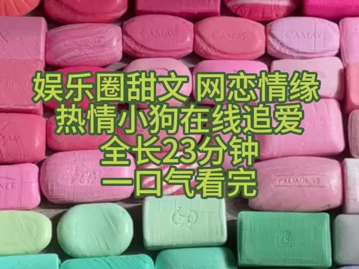 【完结小说 一口气看完】娱乐圈甜文/热情小狗在线追爱 全26分钟哔哩哔哩bilibili