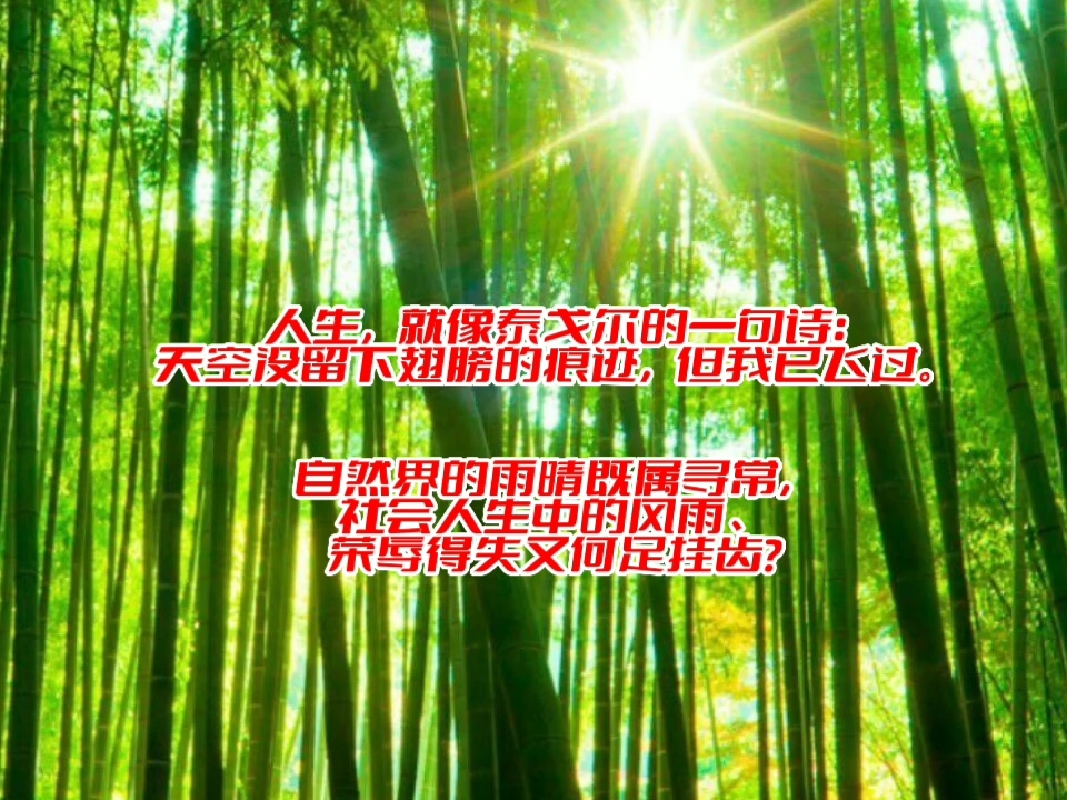 诗词赏析《定风波.莫听穿林打叶声》哔哩哔哩bilibili