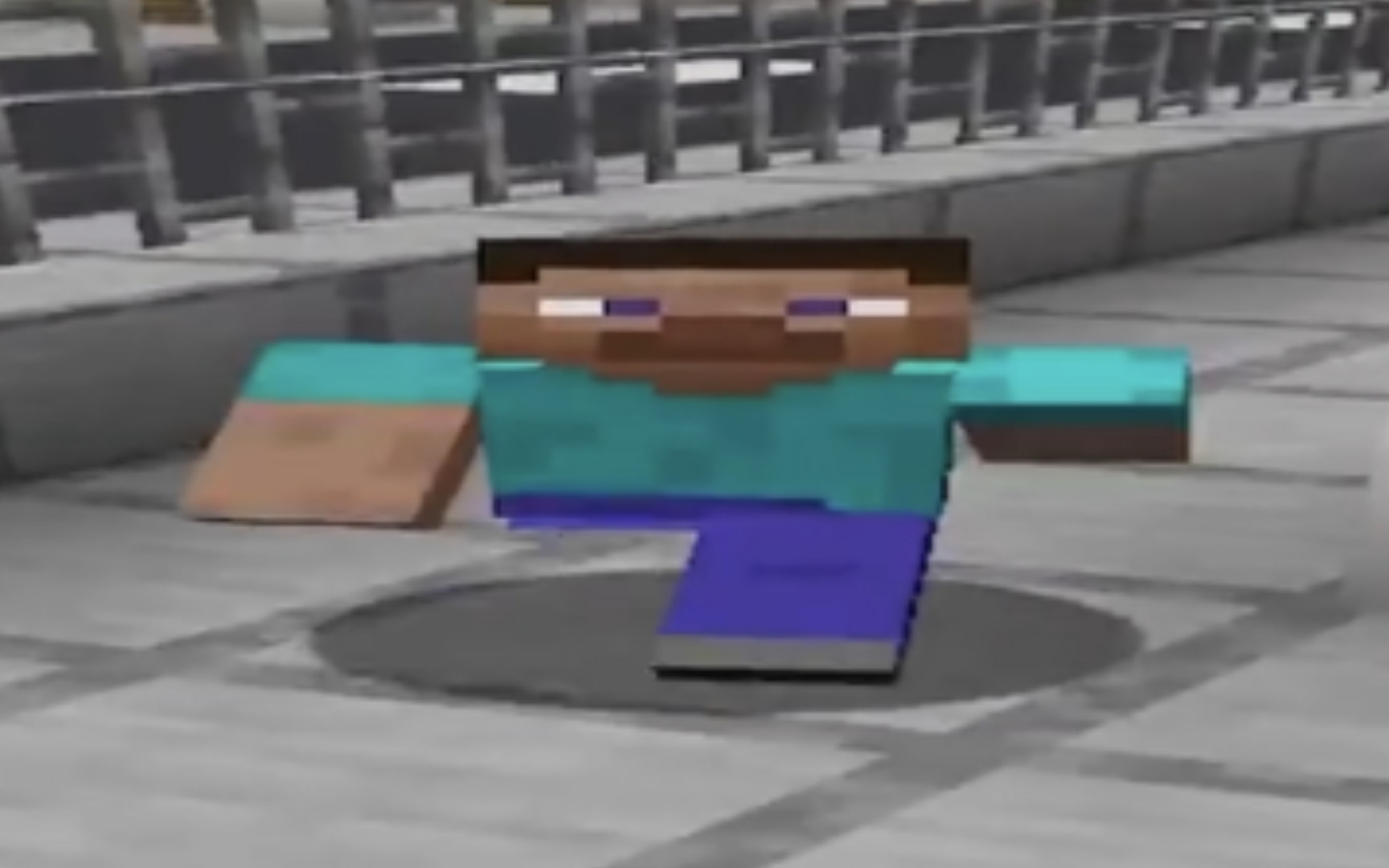 《谁家史蒂夫?》