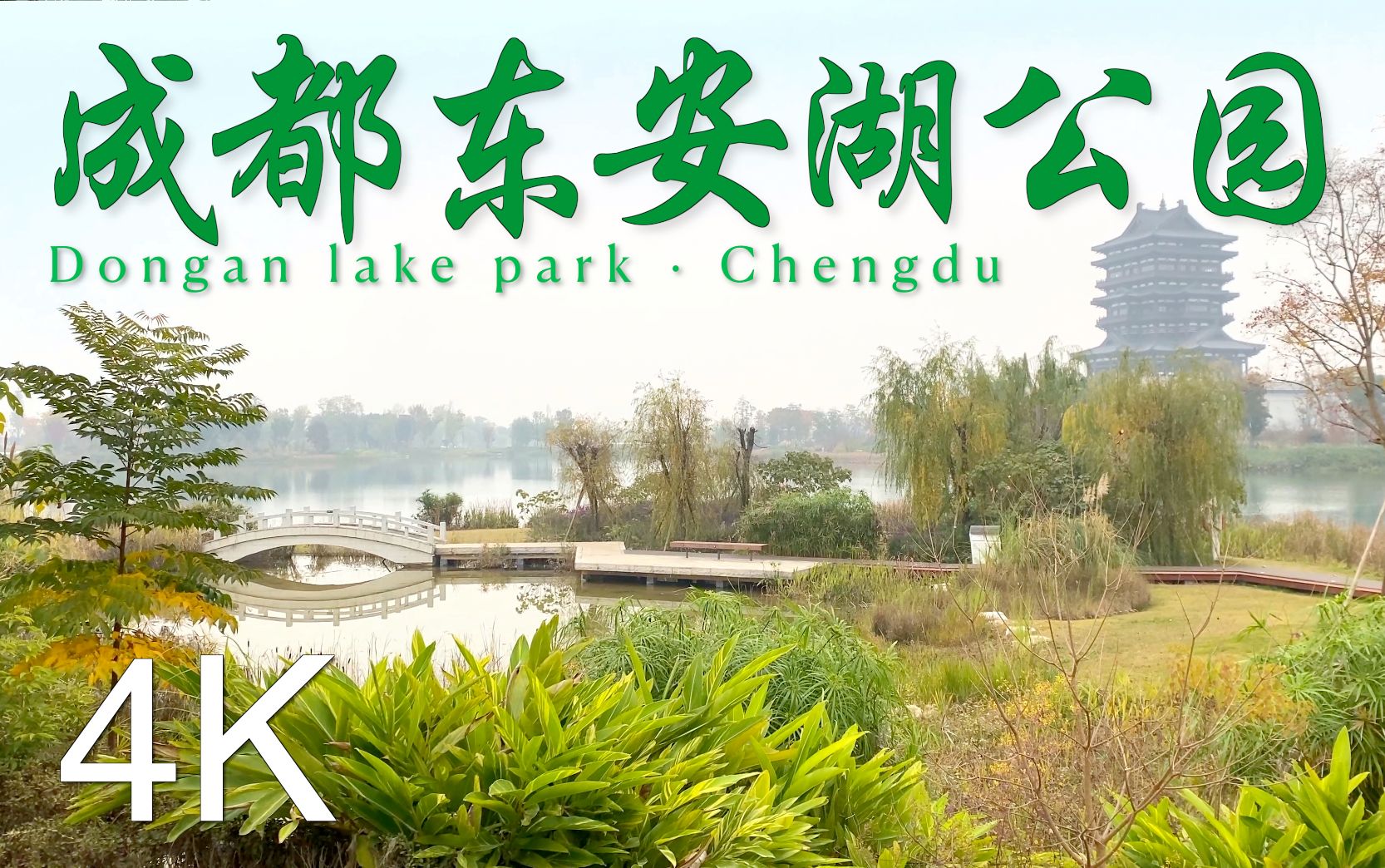 4K 成都【东安湖公园】Dongan lake park ⷠChengdu | 治愈ⷨ‡꧄𖂷放松ⷦ•㦭傷清心 |哔哩哔哩bilibili