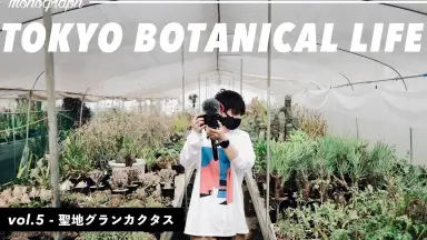 块根多肉植物///////-哔哩哔哩_Bilibili