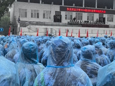 东北农业大学大一新生军训日常