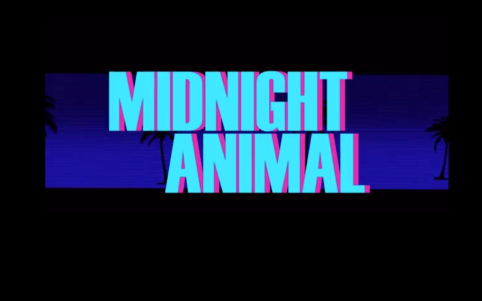 midnight animal a story of love and forgetting