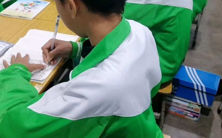 [图]广东叛逆孩子学校，广东叛逆少年学校，广东问题少年学校，清远麦田教育