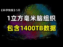 Download Video: 颠覆认知！迄今最精细的人脑三维地图来了，【科学快报】