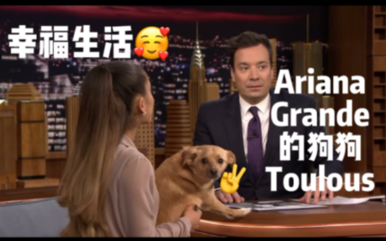 【Ariana Grande】Ariana亲儿子Toulouse的幸福生活|明星小狗日常哔哩哔哩bilibili