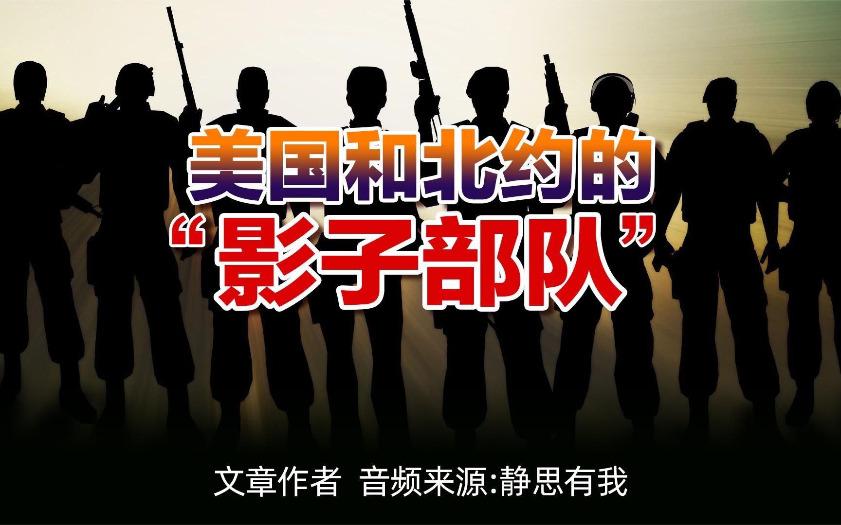 俄乌冲突中,美国和北约的"影子部队".(视频来源:静思有我)