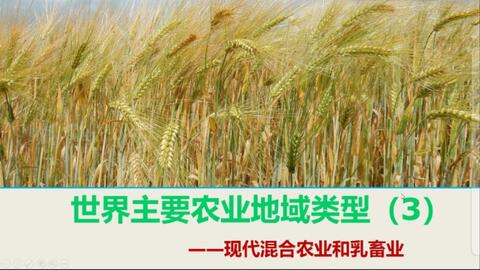 商業的混合農業 家畜