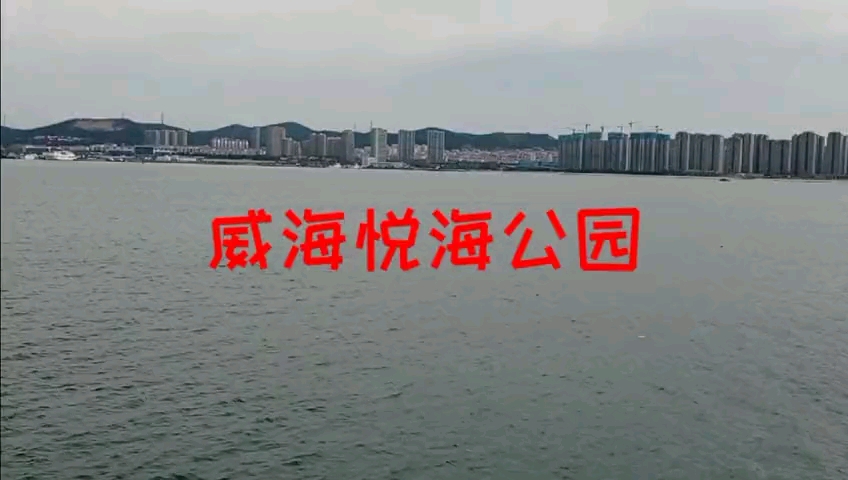 看看威海悦海公园哔哩哔哩bilibili