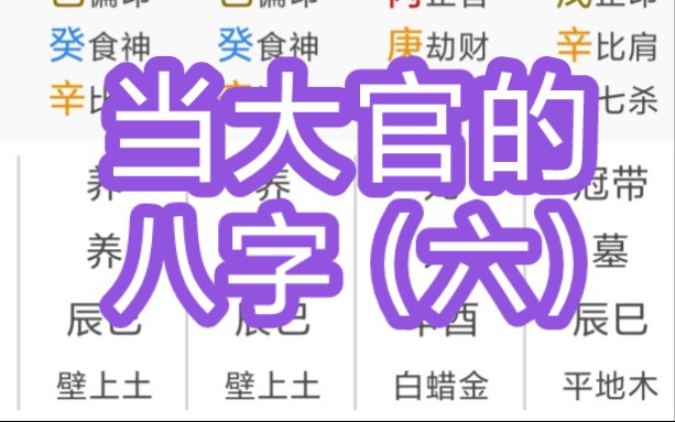 当大官的八字(六)哔哩哔哩bilibili