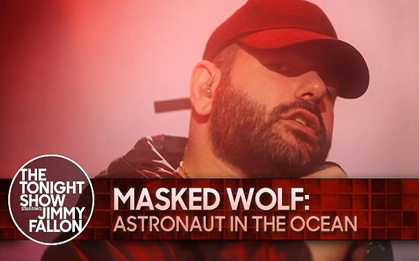 maskedwolf图片