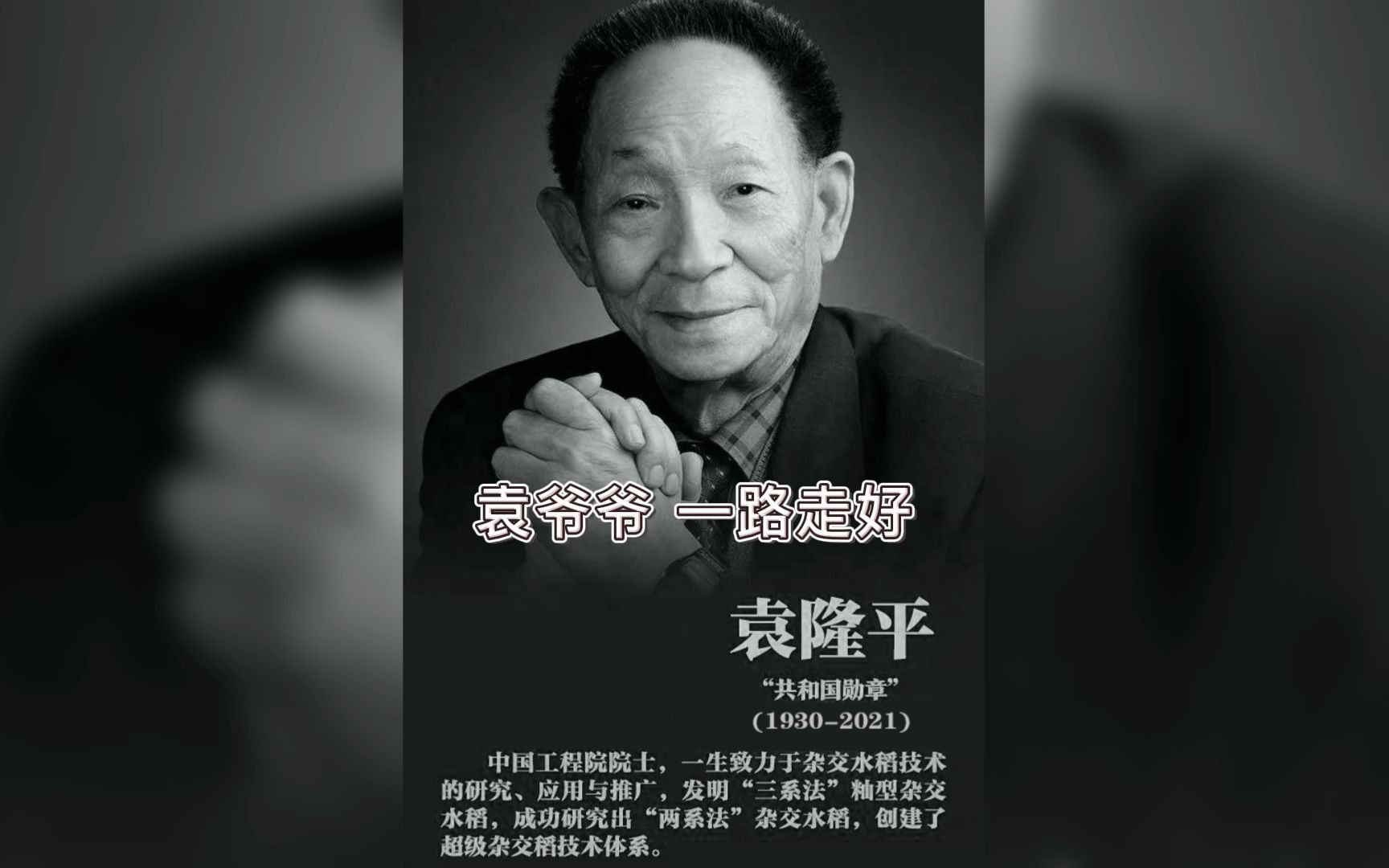 活动作品缅怀袁隆平爷爷