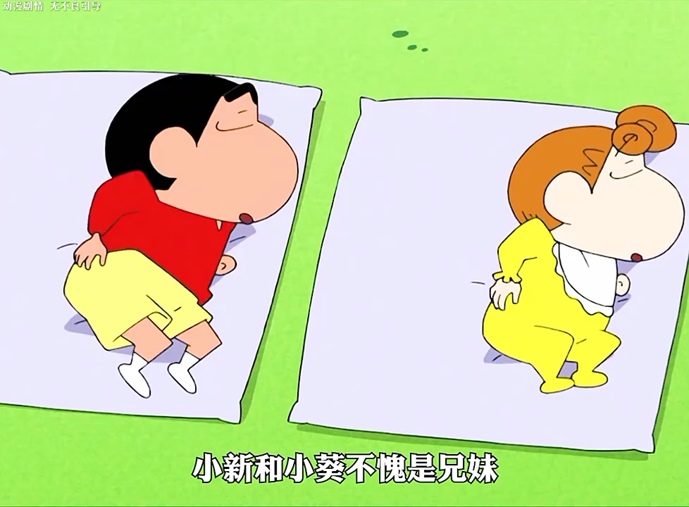 小新和小葵不愧是亲兄妹