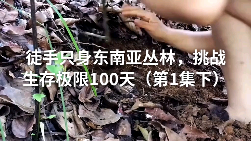 [图]徒手只身东南亚丛林，挑战生存极限100天（第1集下） "原始森林 "荒野求生100天 "麻雀姐 野外生存爱好者，每天分享麻雀姐极限丛林经历100天，切勿模仿！