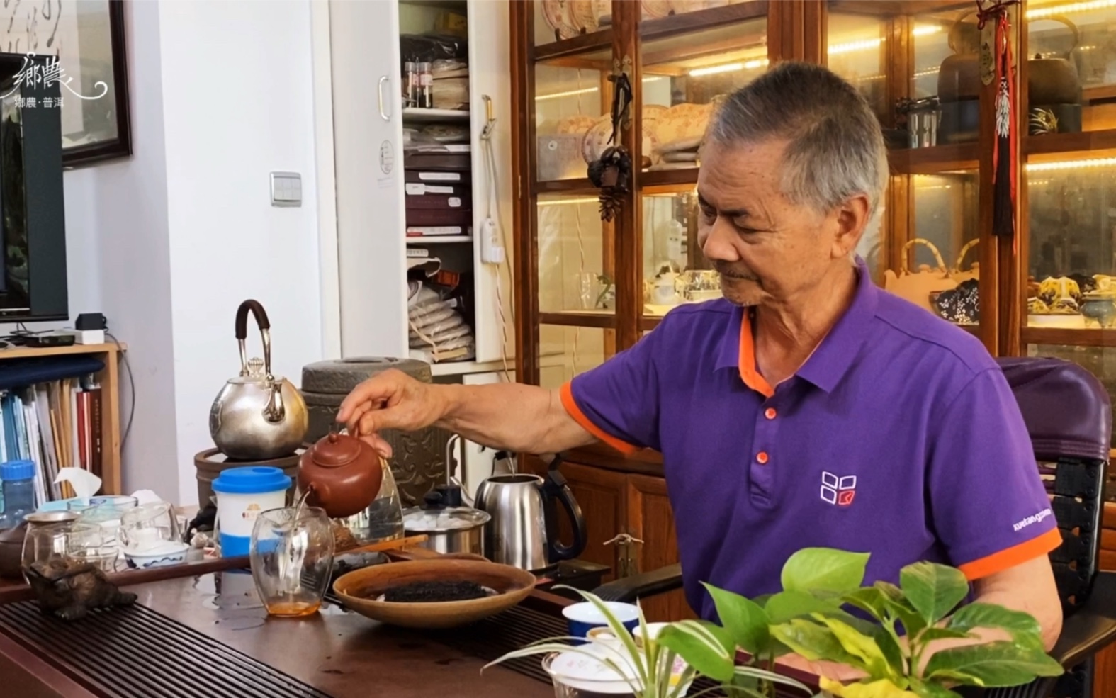 拜访古树茶专家-何仕华老师_哔哩哔哩 (゜-゜)つロ 干杯~-bilibili