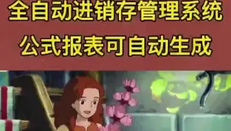 全自动进销存系统（财务会计做账）