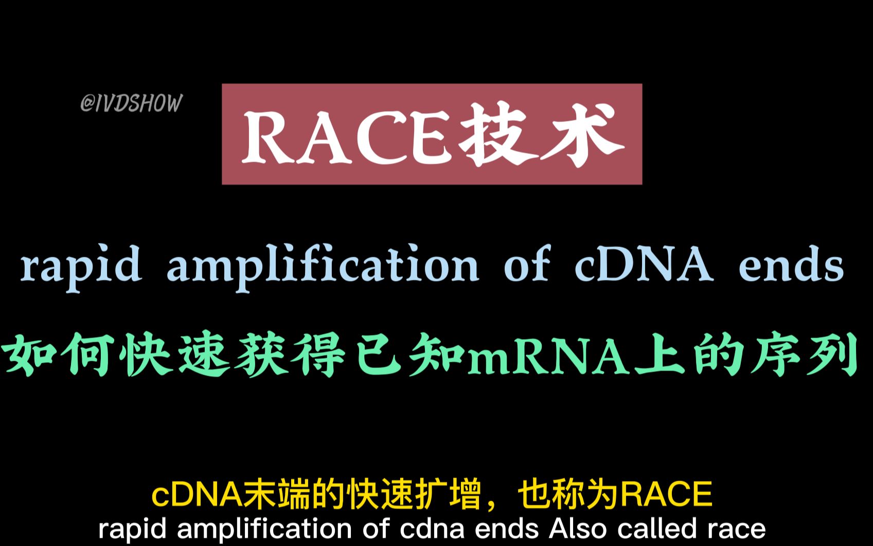 什么是RACE技术?由已知的一段cDNA片段,如何利用锚式PCR,快速扩增cDNA末端,获得mRNA序列的?哔哩哔哩bilibili