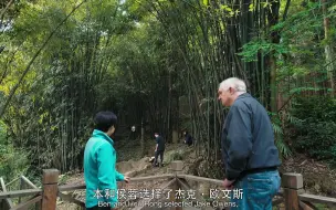 Tải video: 【和盛之死：透视基地“软野培”】【4】欧文斯被科思基金选中，跟毕温磊一起负责培训倩倩。先在都江堰熊猫谷，后在栗子坪野培区，2016年7月与和盛一起被放归到野外