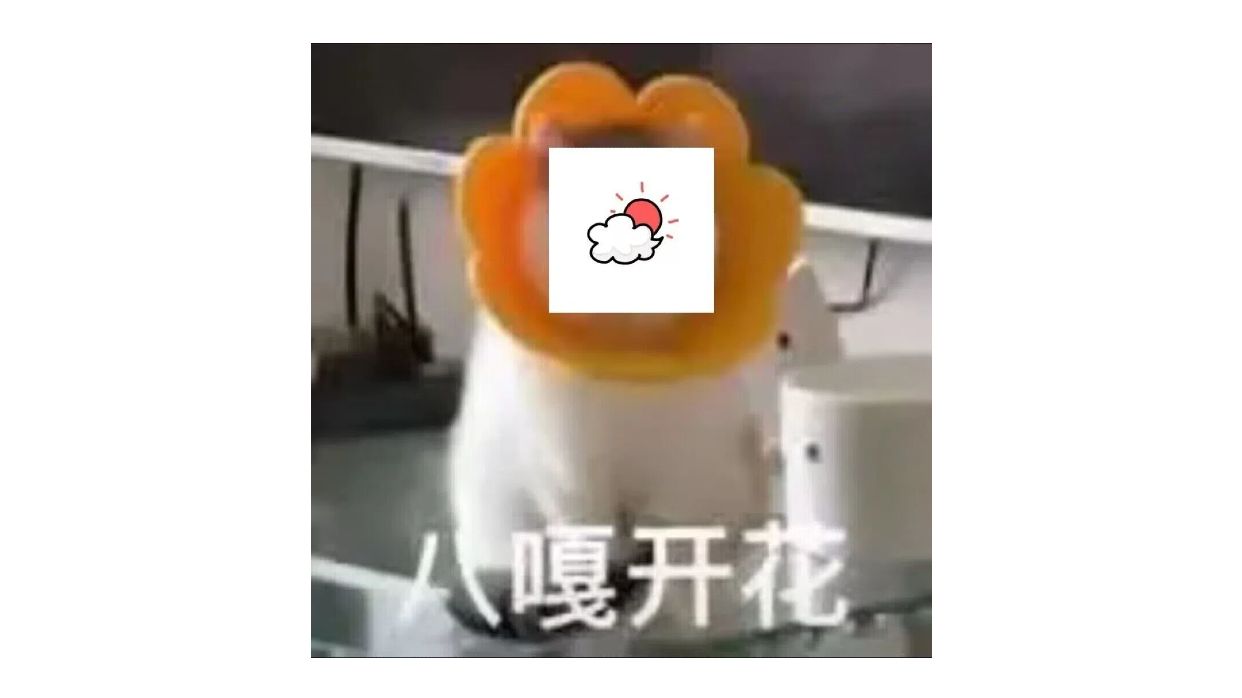 不许看别人隐私!(5)哔哩哔哩bilibili